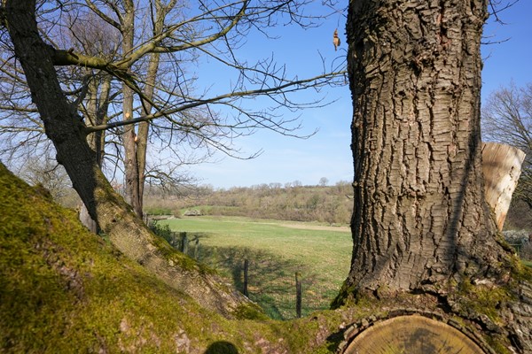 Medium property photo - Oude Baan 13C, 6286 BD Wittem